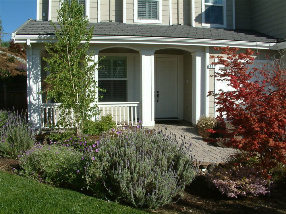 Street View to House