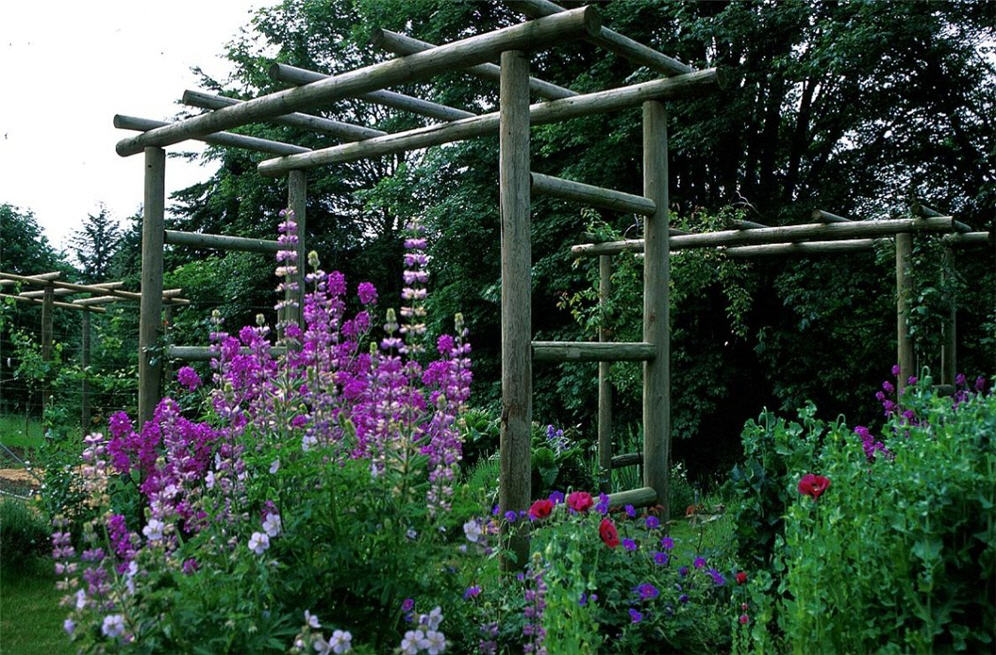 Veggie Garden Arbor