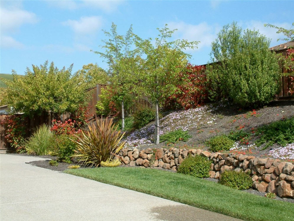 Raised Planter and Hillside in Dublin