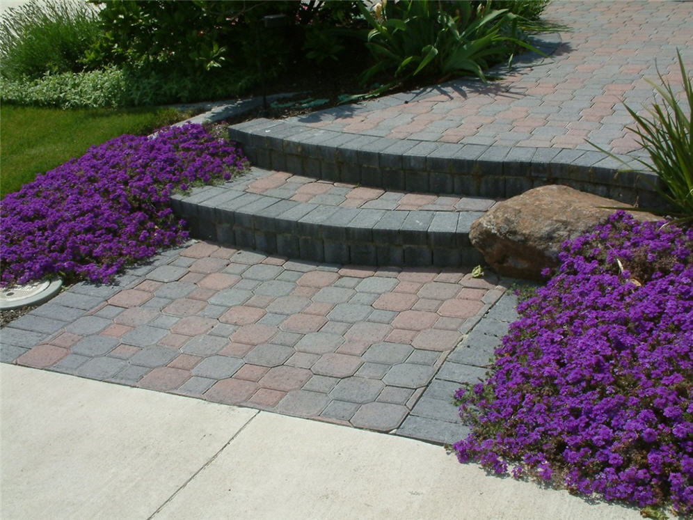 Pavers and Verbena