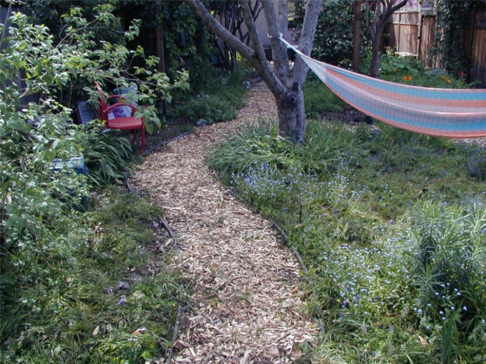 Hammock and Back Walk