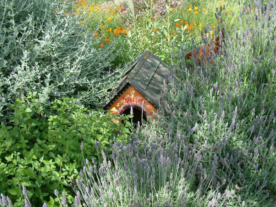 Rabbit House