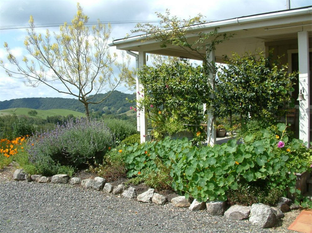 Front Shrub Border