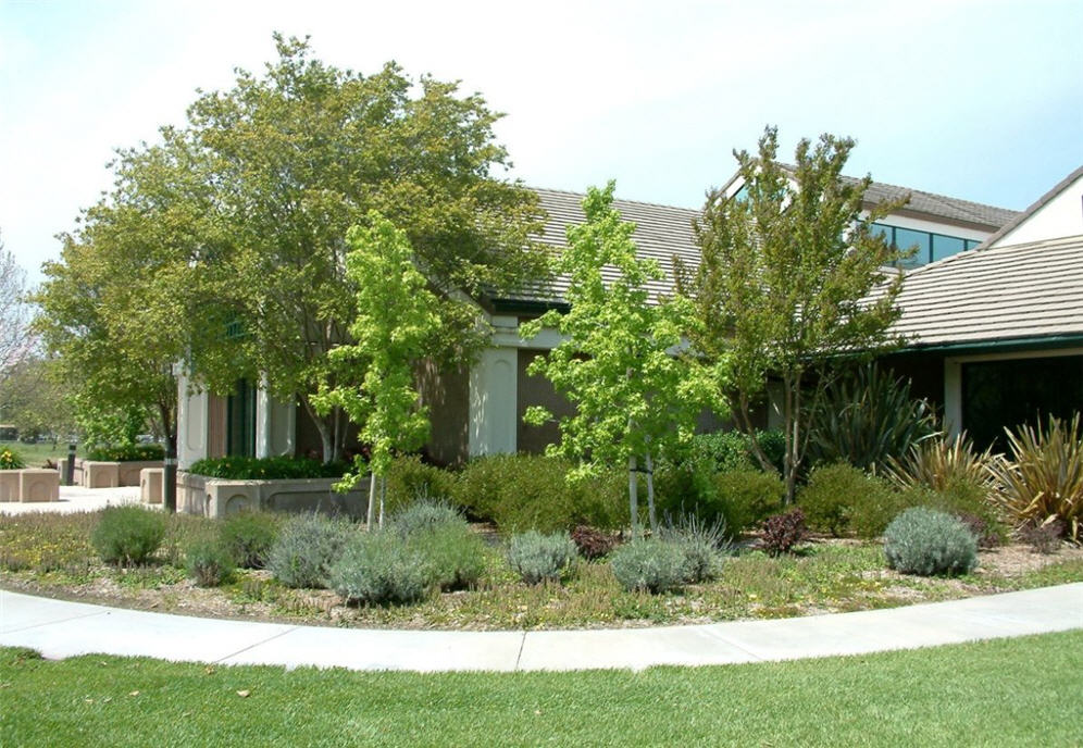 Pleasanton Library Building