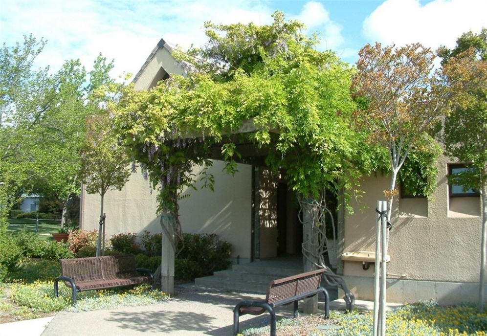 Arbor at the City Hall