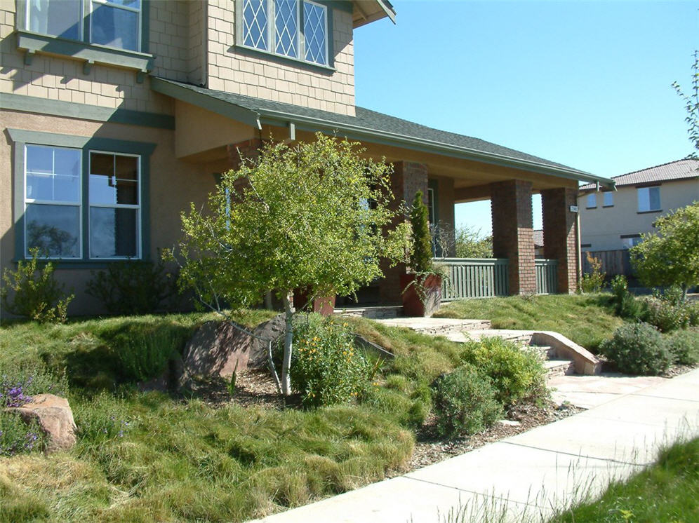 Native Living Front Yard