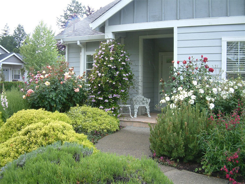 Shrub Mounds Entry