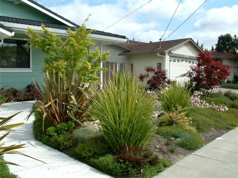 Front Walk View