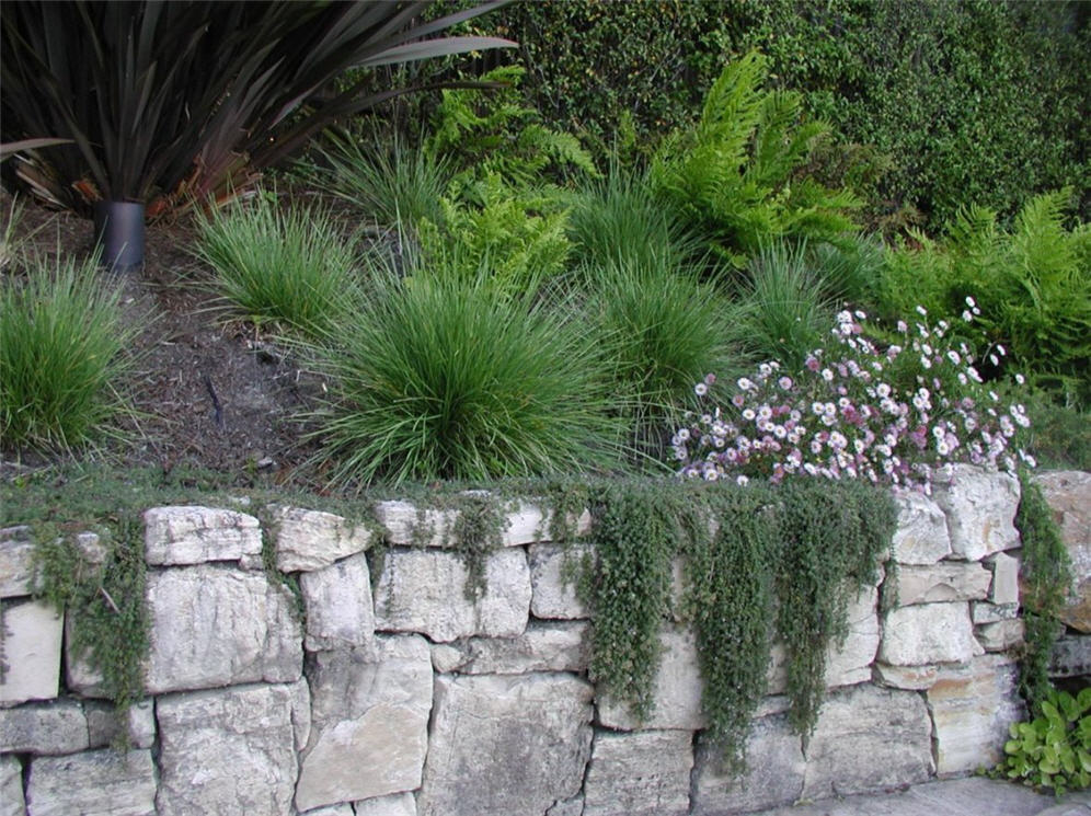 Raised Planter and Cascades