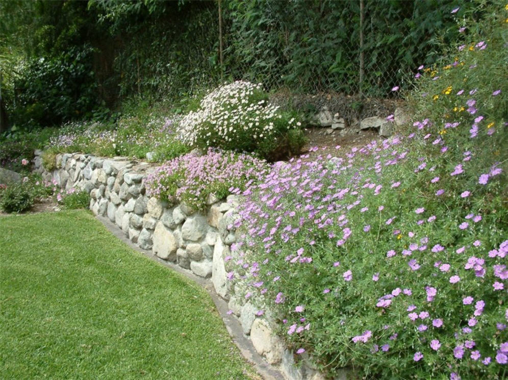 Raised Planter  and Lawn