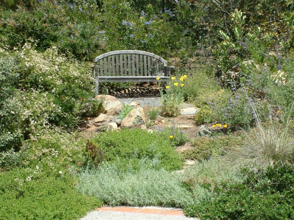 Hidden Native Bench