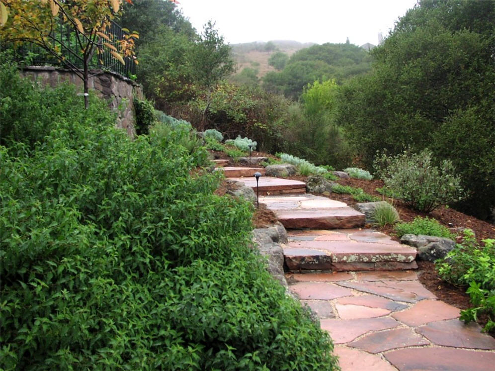 Winding Flagstone Walk