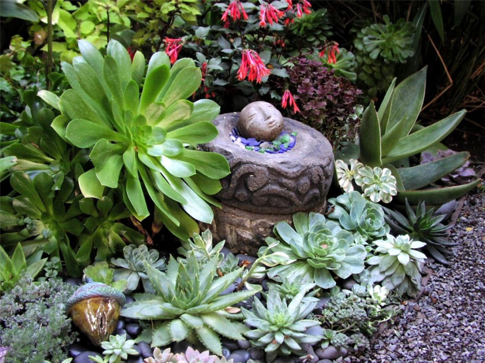 Garden Closeup Detail