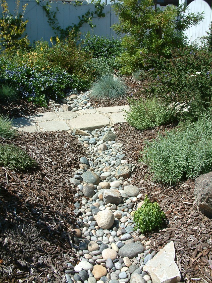 Creek Bed Close up