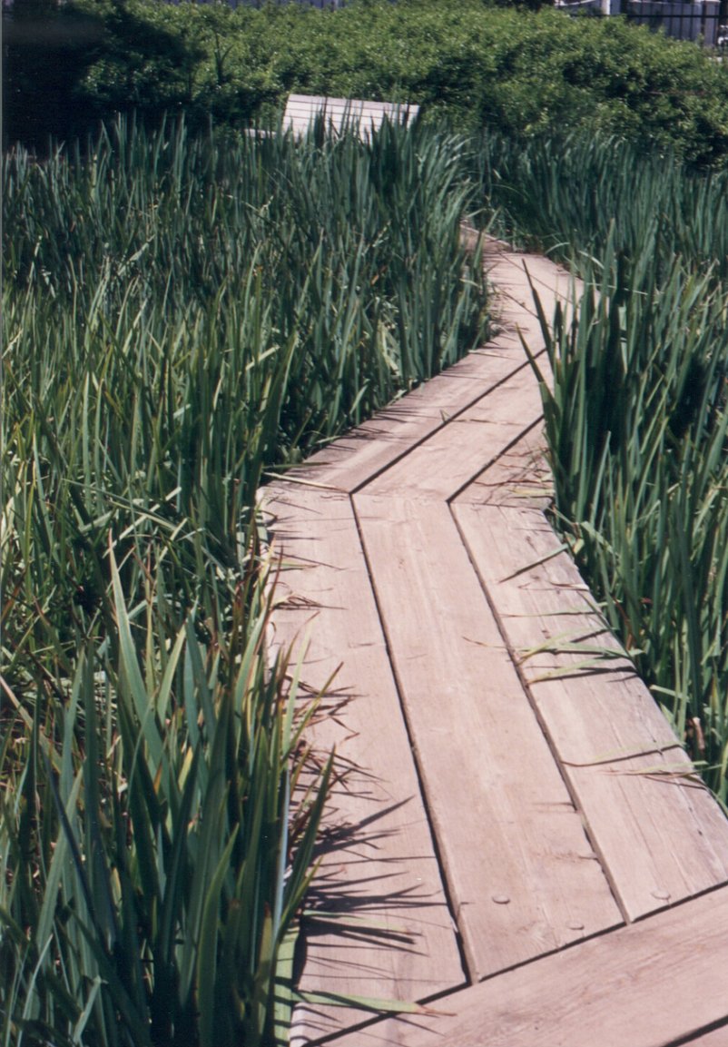 Wood Catwalk