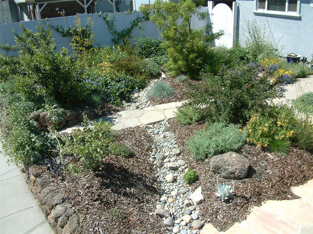 Dry Creek Bed in Native Garden