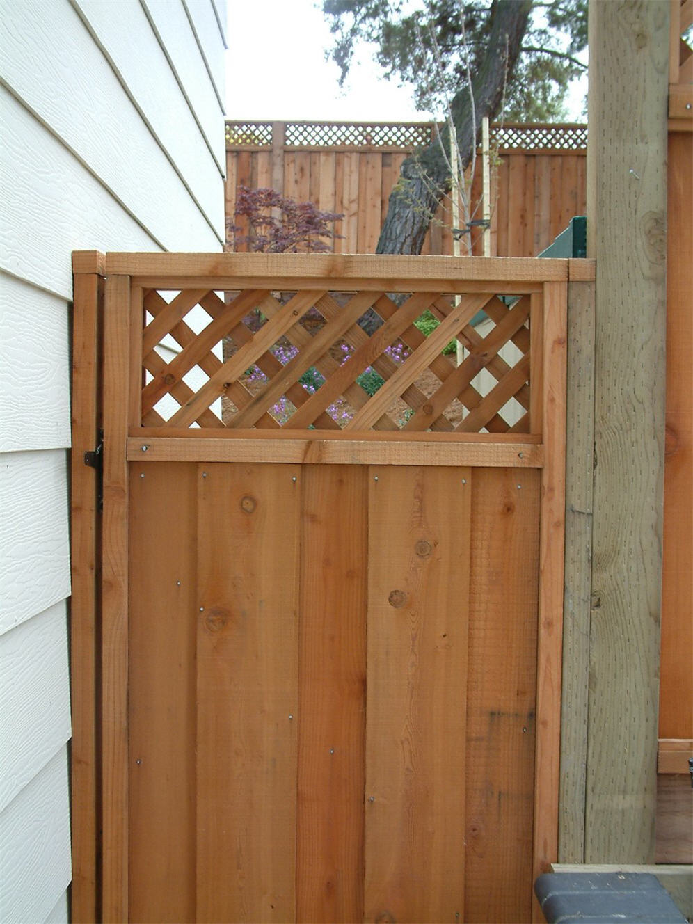 Backyard Gate