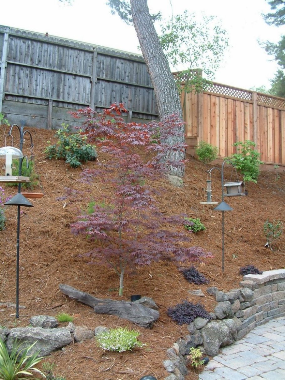 Steep Hillside Plantings and Mulch