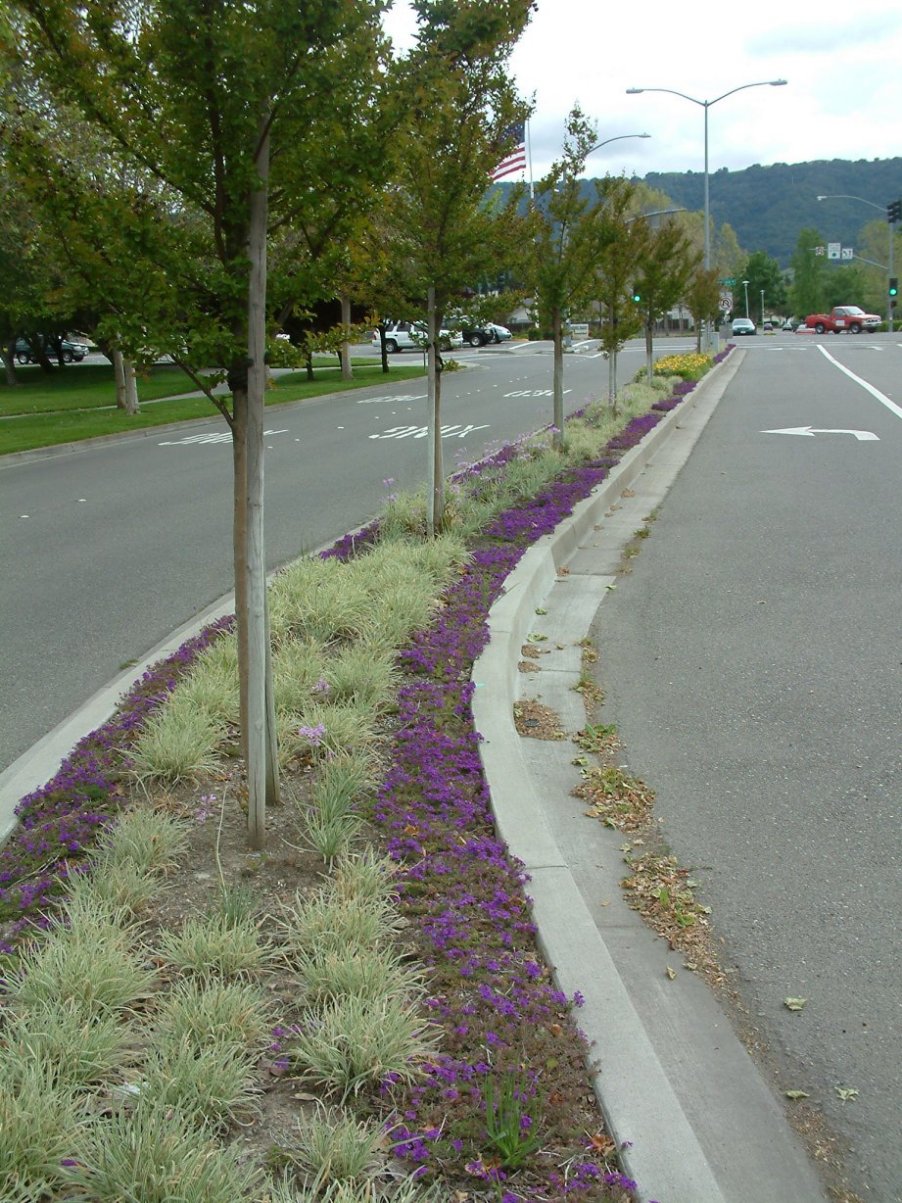 Dublin Median Strip