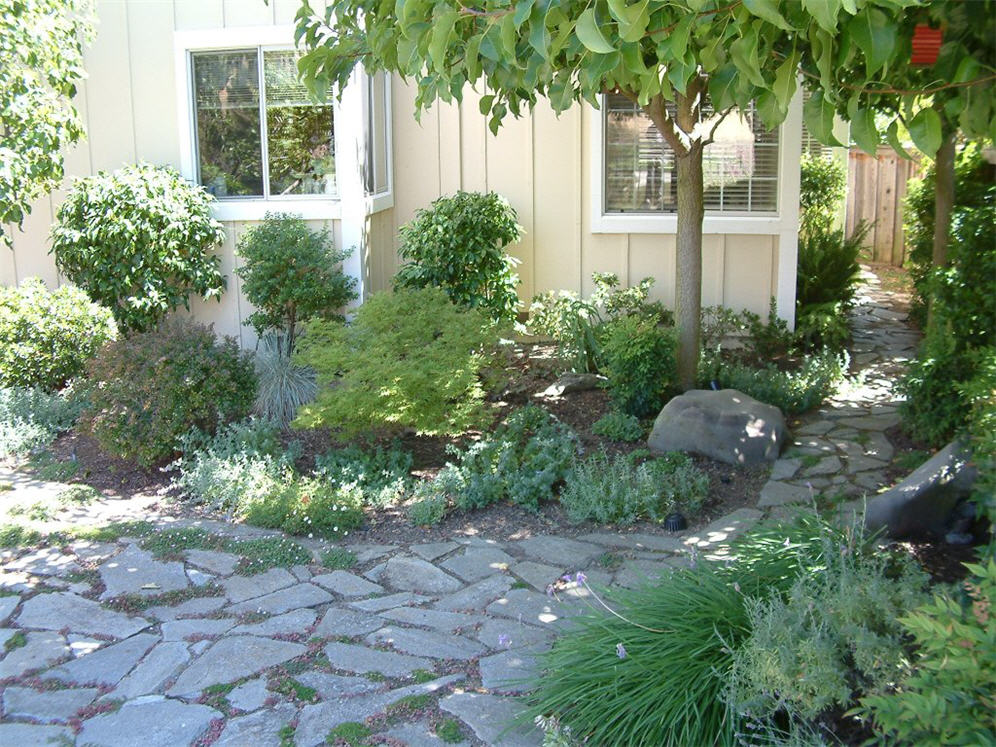 Shaded Backyard