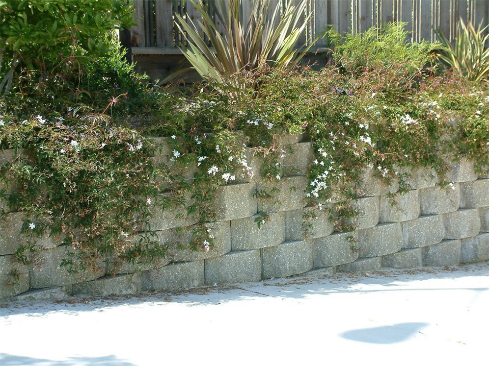 Cascading Plants on Raised Planter