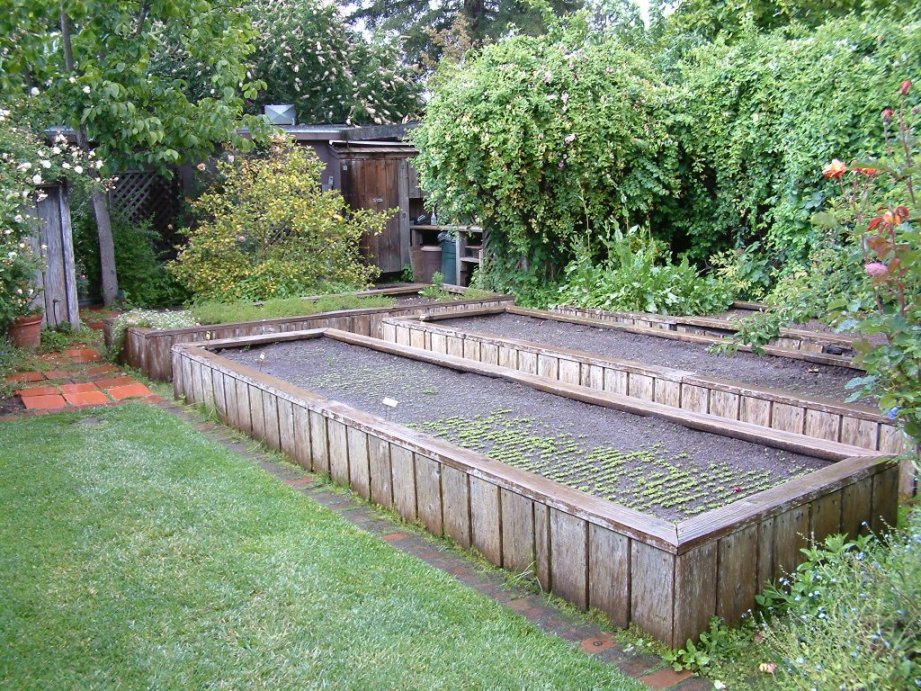 Raised Veggie Planter Garden