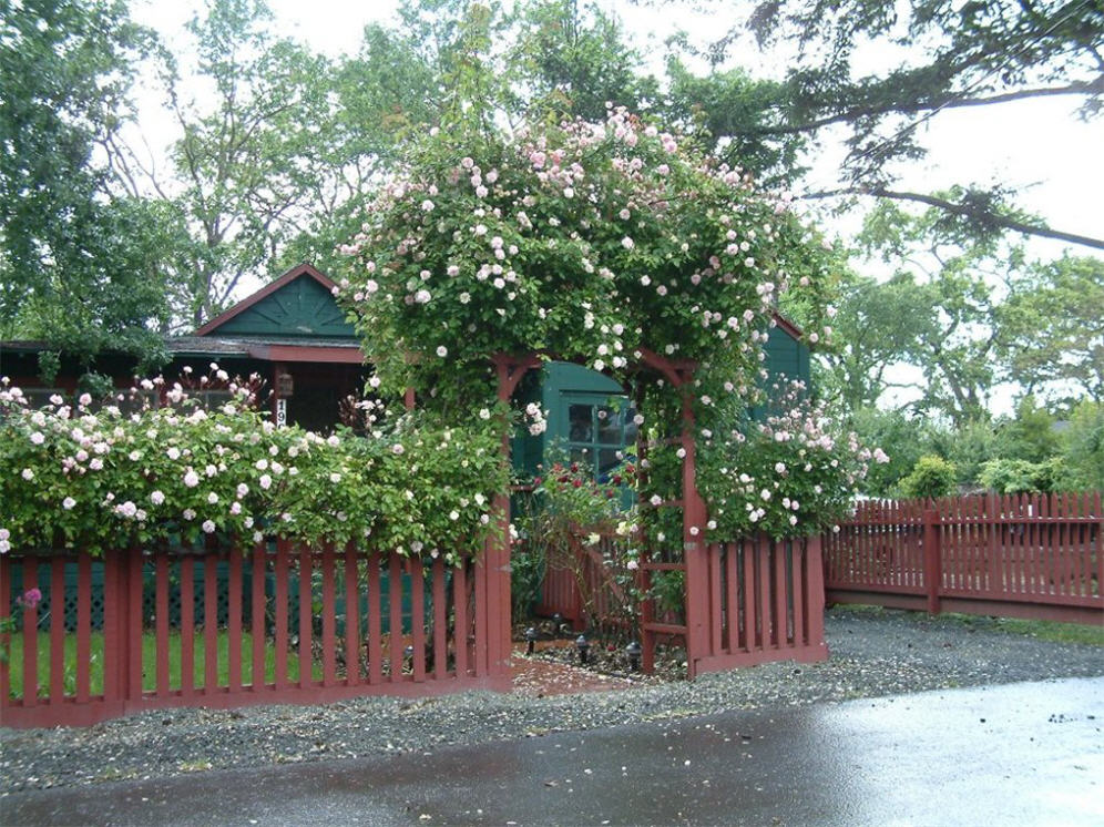 Arbor Garden