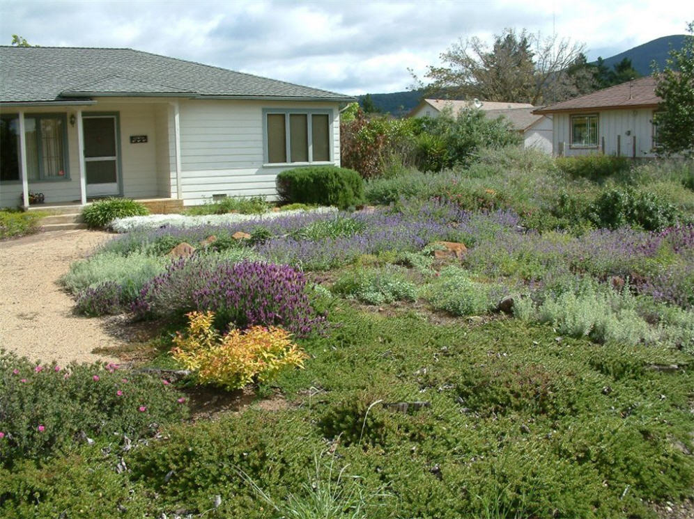 Ranch Style Garden