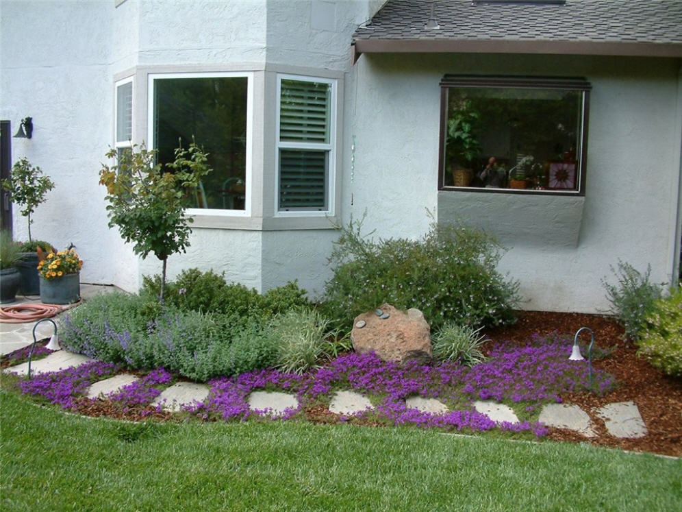 Backyard Foundation Planting