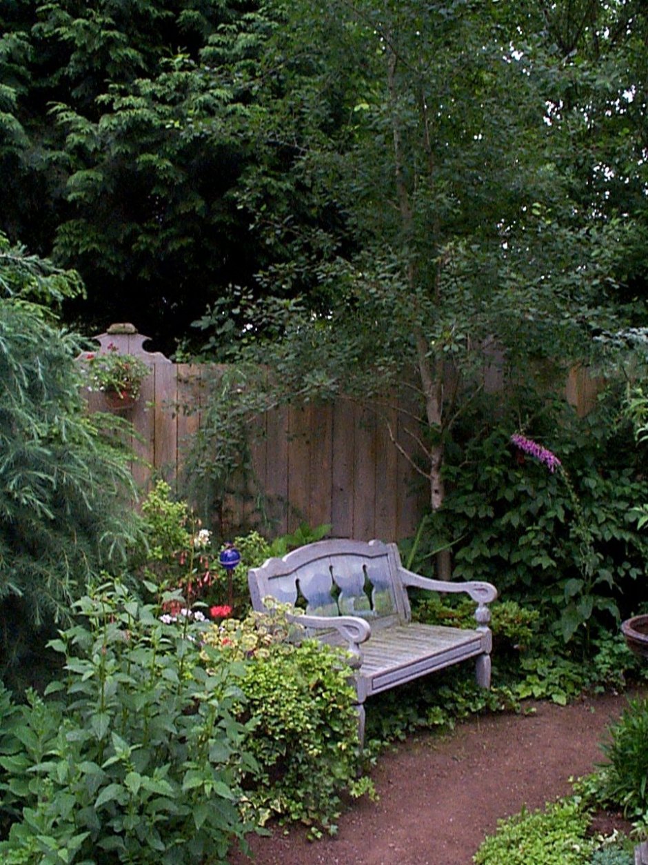 Purple Bench