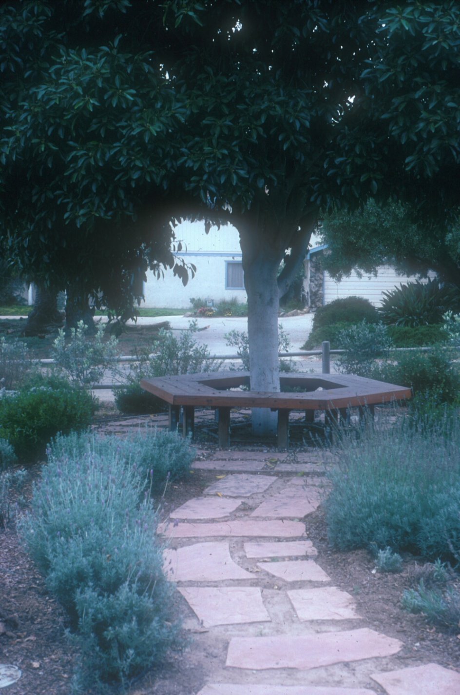 Tree Circle Bench