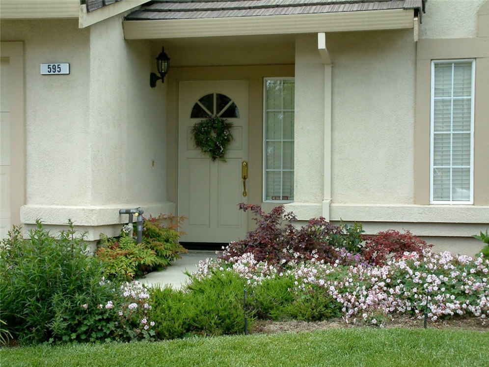 Shrubs at the Entry