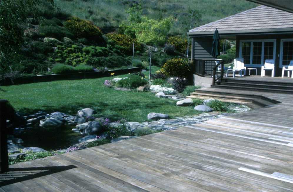 Backyard Deck